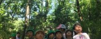 58_3013_18633_up_55ITSJBB